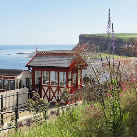 Saltburn Holidays Jasmine Cottage Saltburn Esterno foto